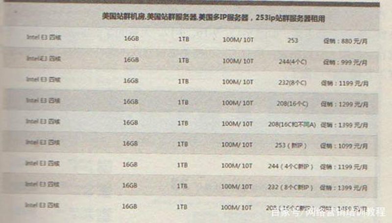 站群系统：构建多站点网络的新时代